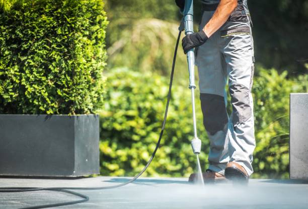 Best Dumpster Area Cleaning  in Bayou Lourse, LA
