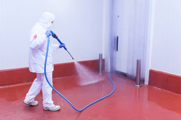 Best Post-Construction Pressure Washing  in Bayou Lourse, LA