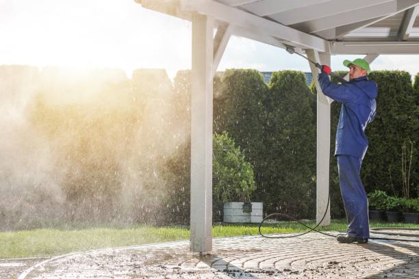 Best Roof Washing  in Bayou Lourse, LA