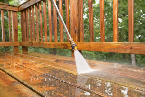 Best Sidewalk and Walkway Cleaning  in Bayou Lourse, LA